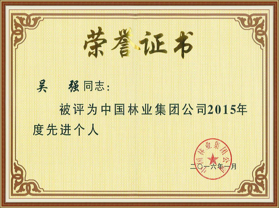 中國林業(yè)集團公司2015年度先進個人